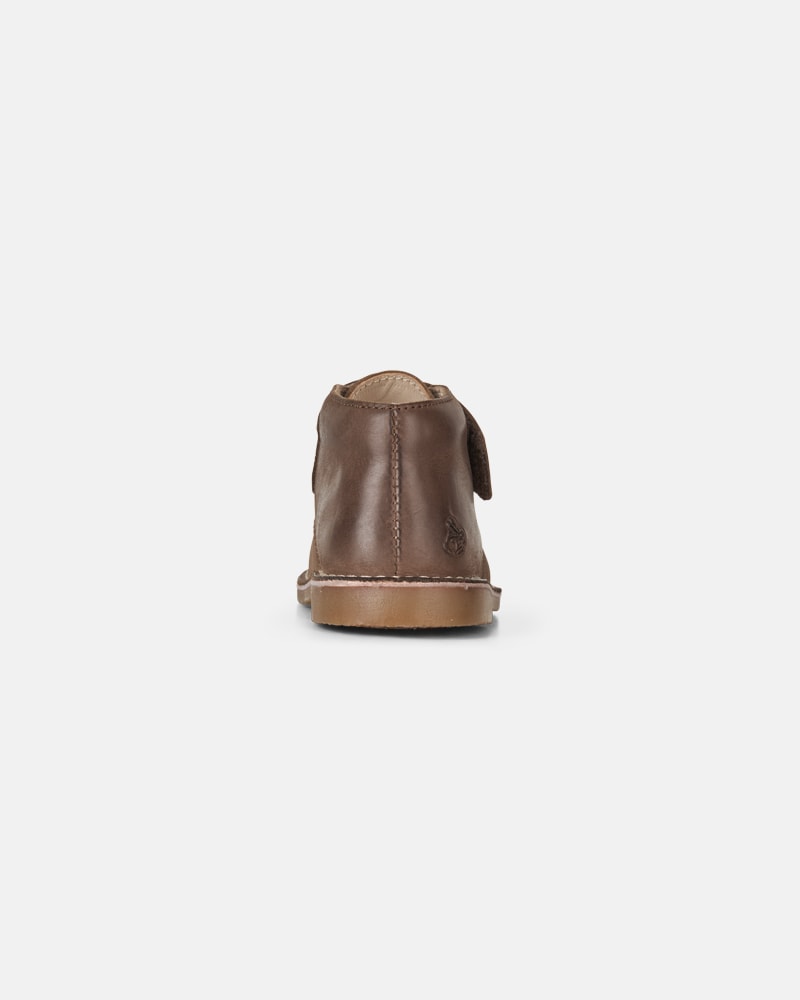 Sage Dark Brown