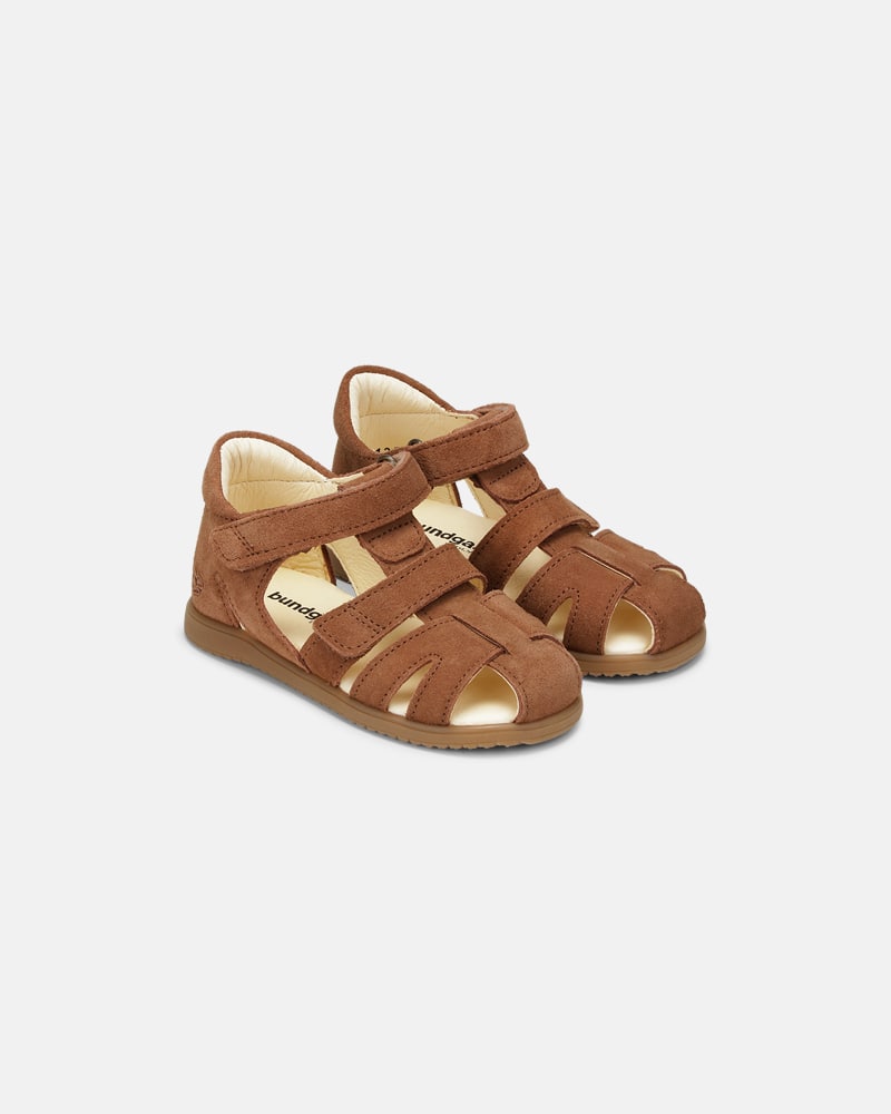 Bellis Mocha